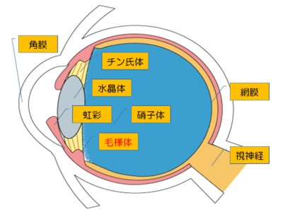 20180628_コラム画像①.PNG